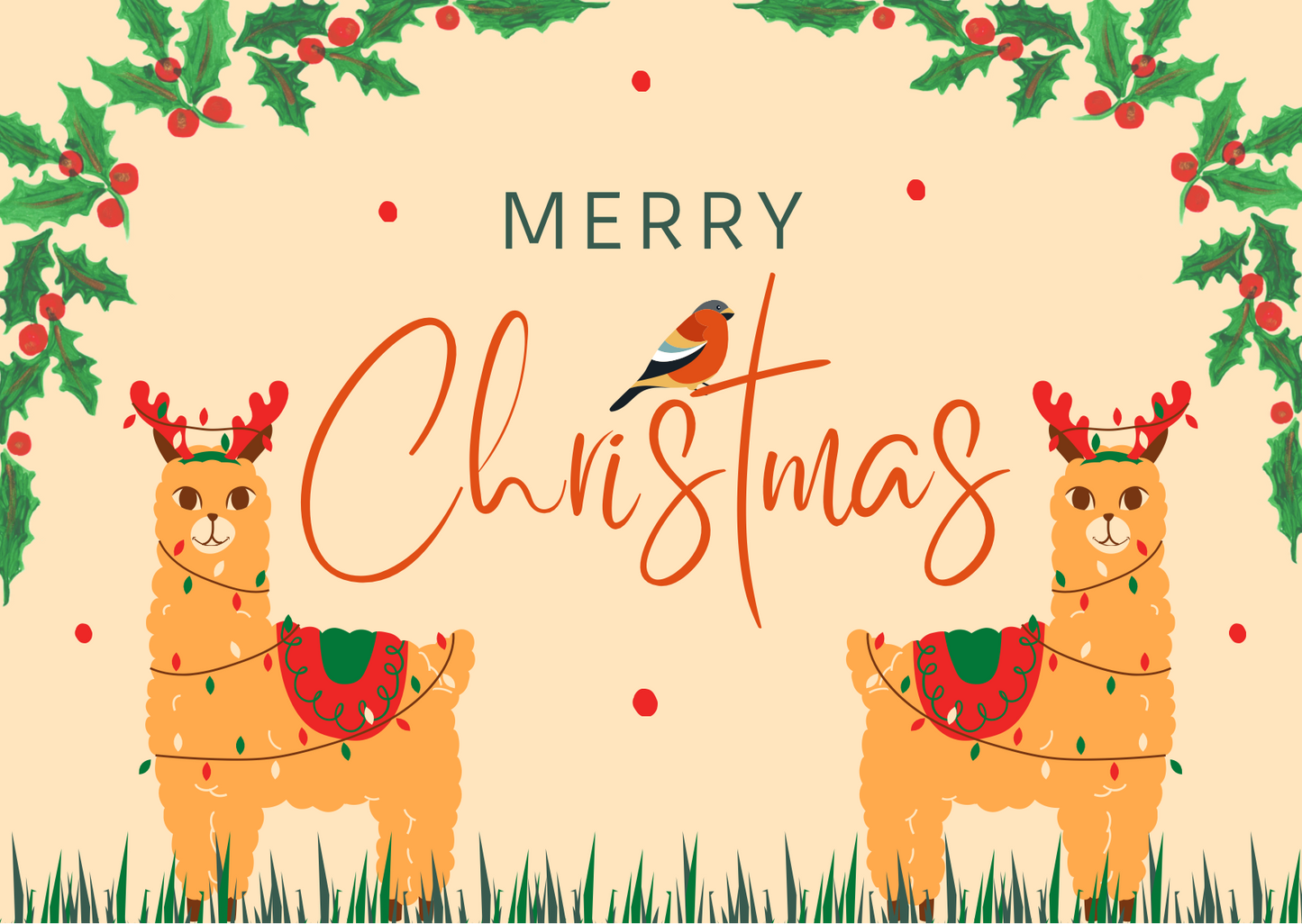 Kerstkaart alpaca’s